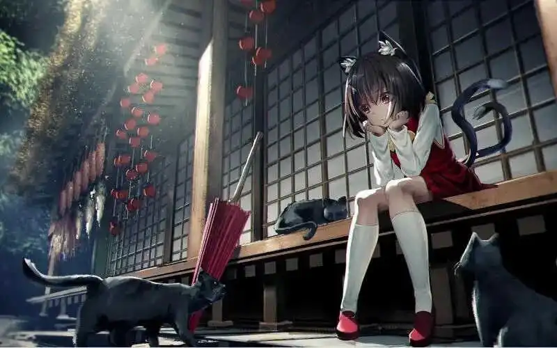 西檬之家s属性是什么？字母圈初学者必看的指南！ 一