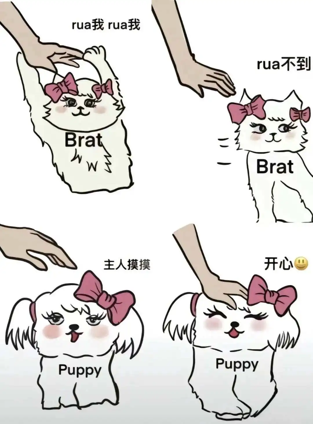 西檬之家brat属性是什么？你在字母圈中的表现与个性分析 一