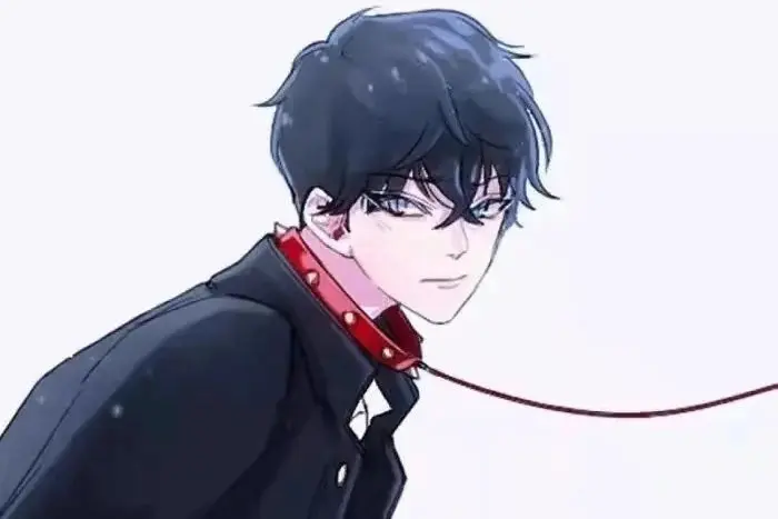 西檬之家BDSM文化的核心原则是什么？ 一