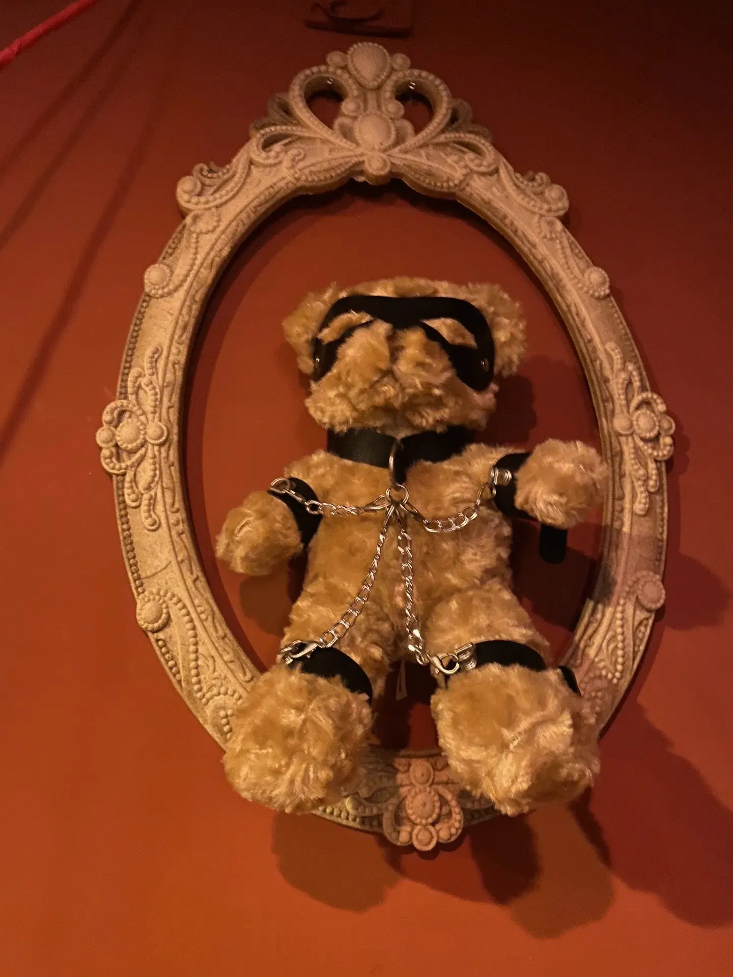 西檬之家如何顺利入圈？字母圈新人必看指南 一