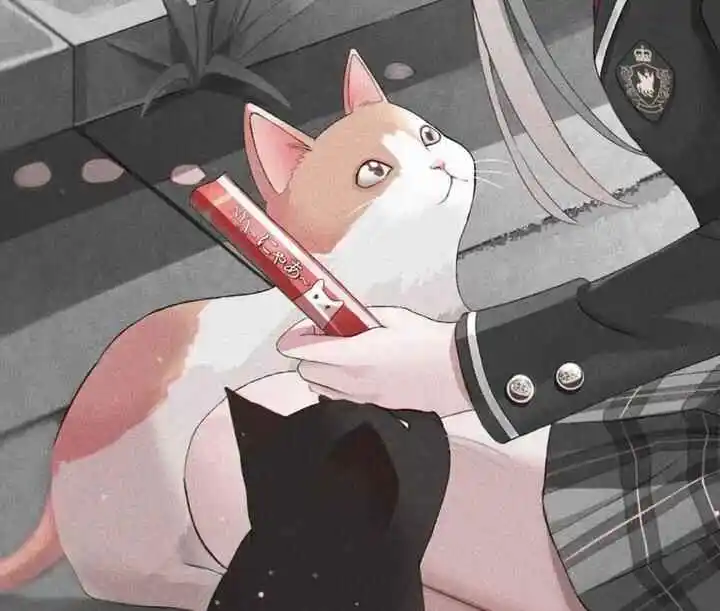 西檬之家sp小圈是什么?探寻你的字母圈新领域 一