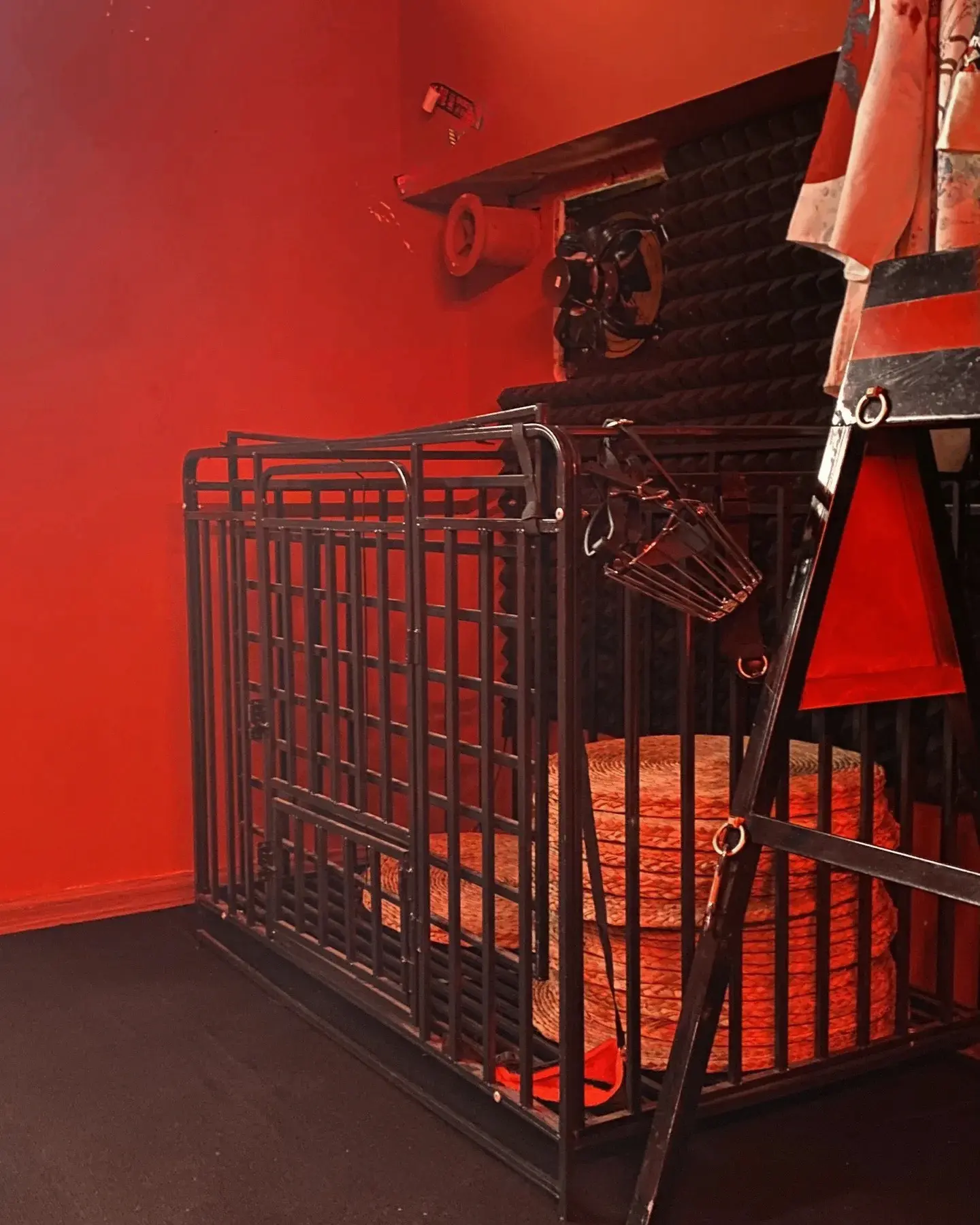 西檬之家s倾向者的心理探索与实践指南 一