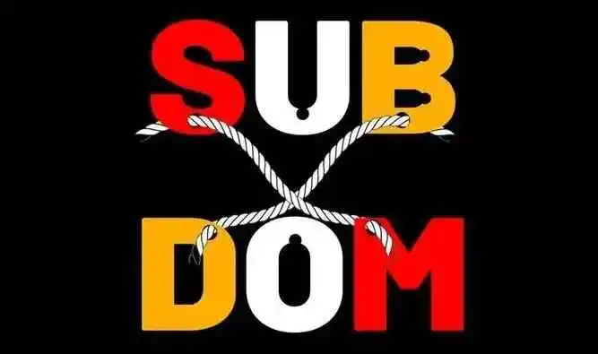 西檬之家如何理解字母圈中的DOM角色? 一