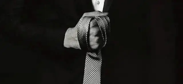 西檬之家k9犬系的魅力与实践指南,如何探索这一独特亚文化? 一