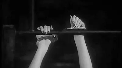 西檬之家字母圈中的管教是什么？你需要了解的关键要素！ 一