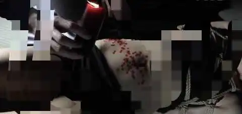 西檬之家女王是什么？如何在字母圈中找到你的支配之道 一