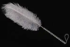 西檬之家字母圈入圈指南:新人必知的基本原则与实践技巧 一