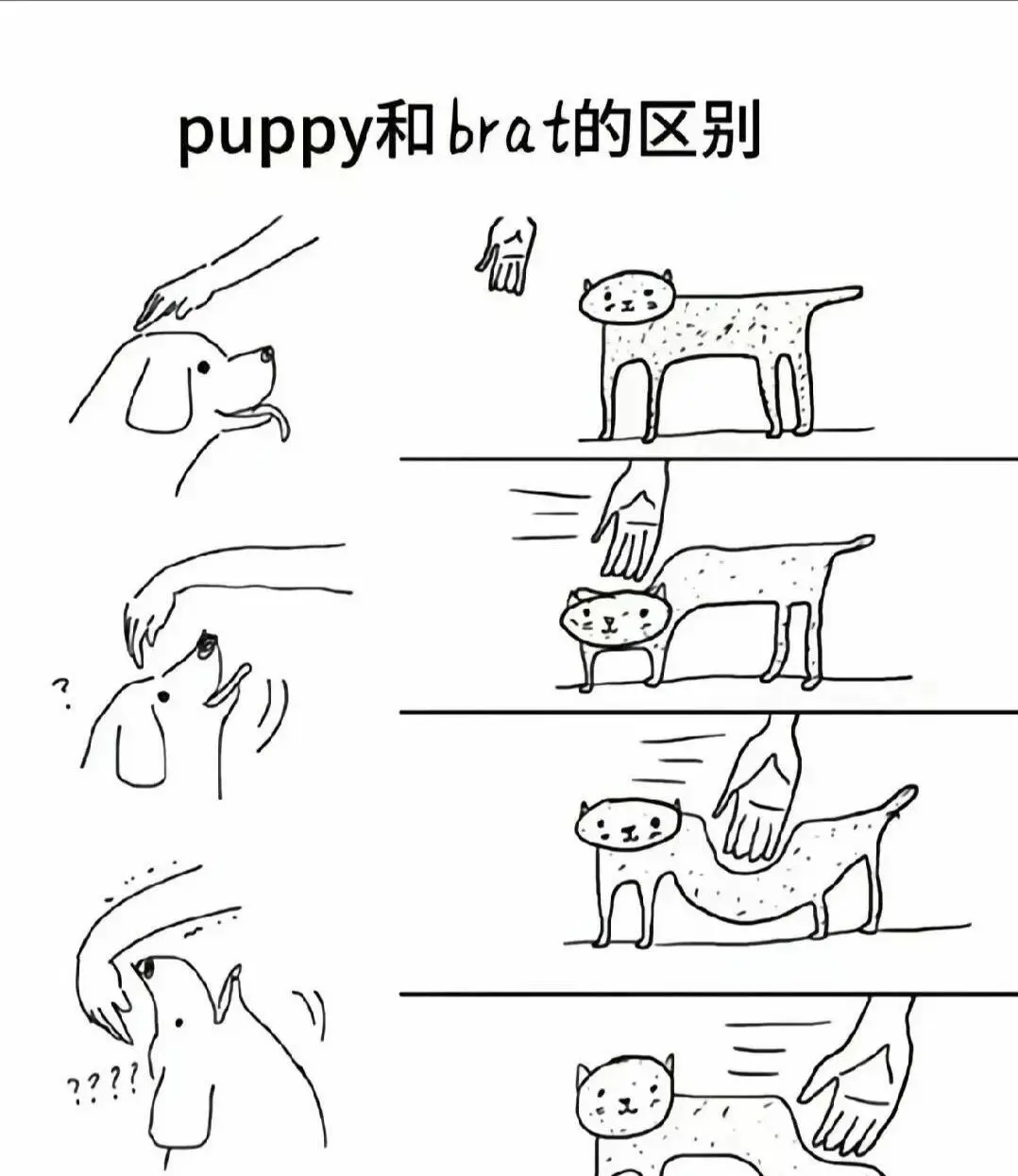 西檬之家字母圈新手必知的支配与臣服关系解析! 一