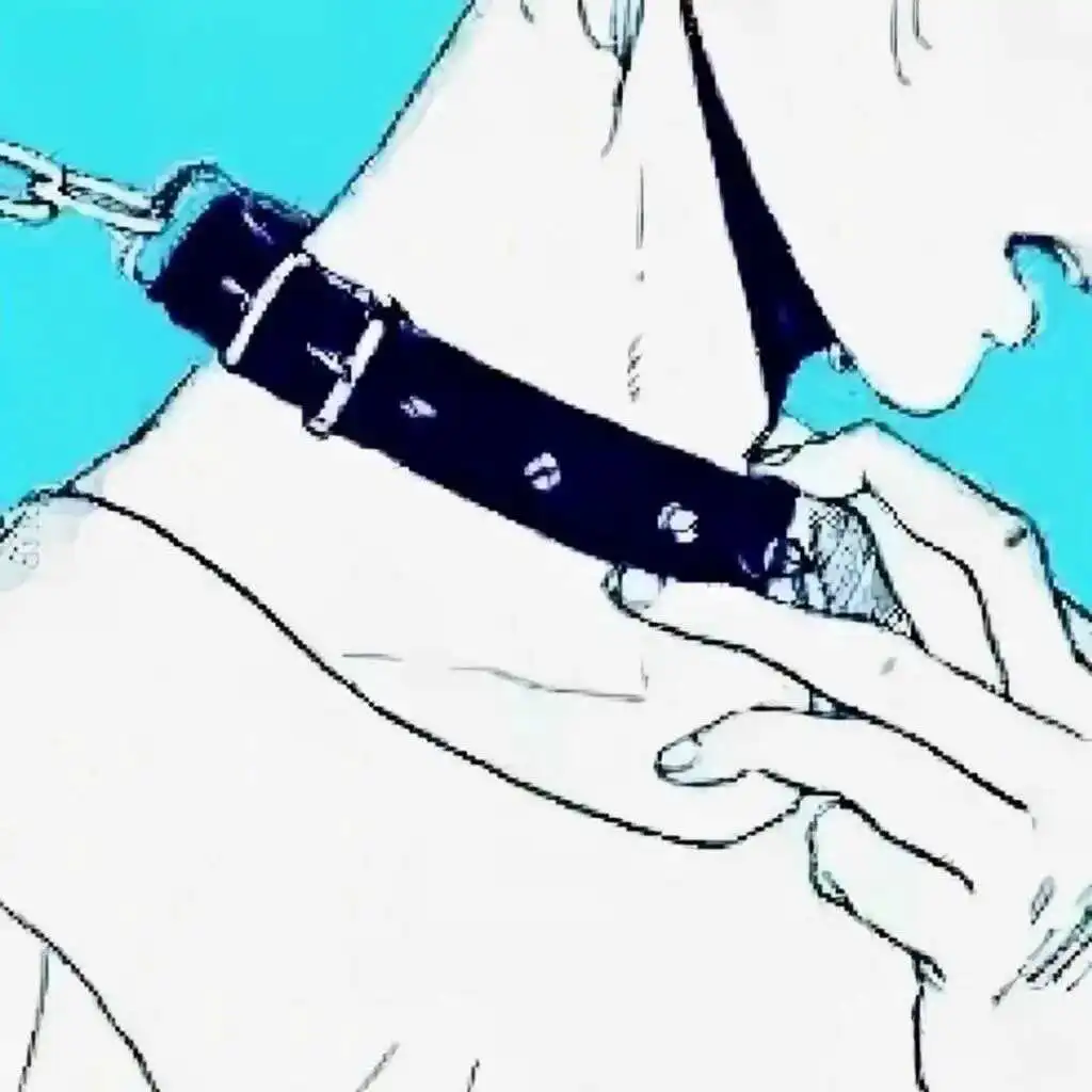 西檬之家k9是什么?字母圈中的犬奴角色解析 一