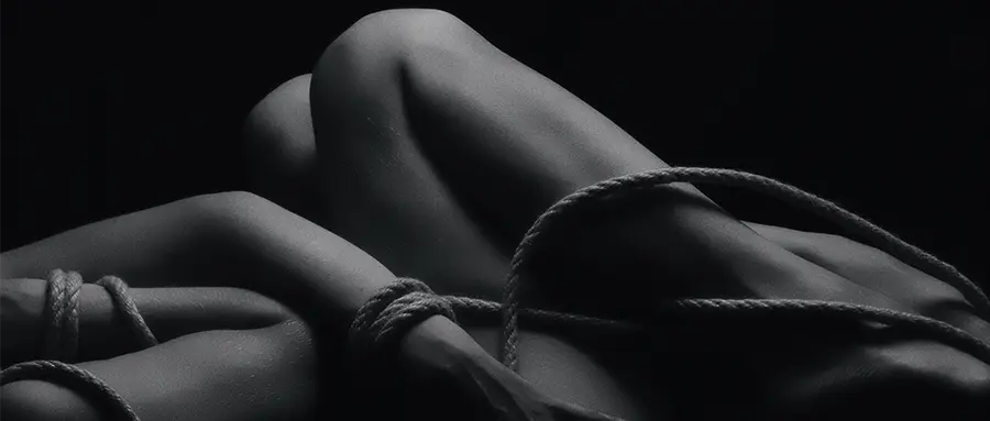 西檬之家k8是什么？探究字母圈新人的必备知识 一