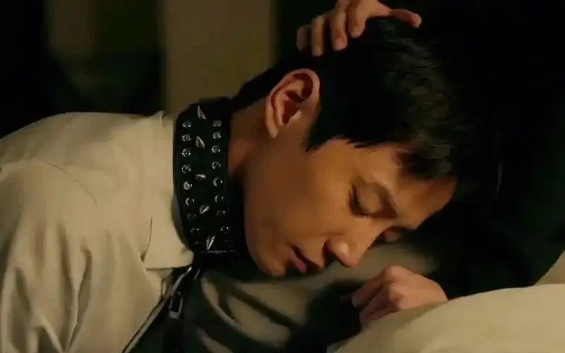 西檬之家ddlg是什么？探索字母圈中的幼稚与支配关系 一