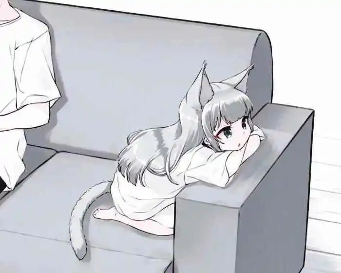 西檬之家k8猫系是什么？揭秘字母圈的新兴玩法 一