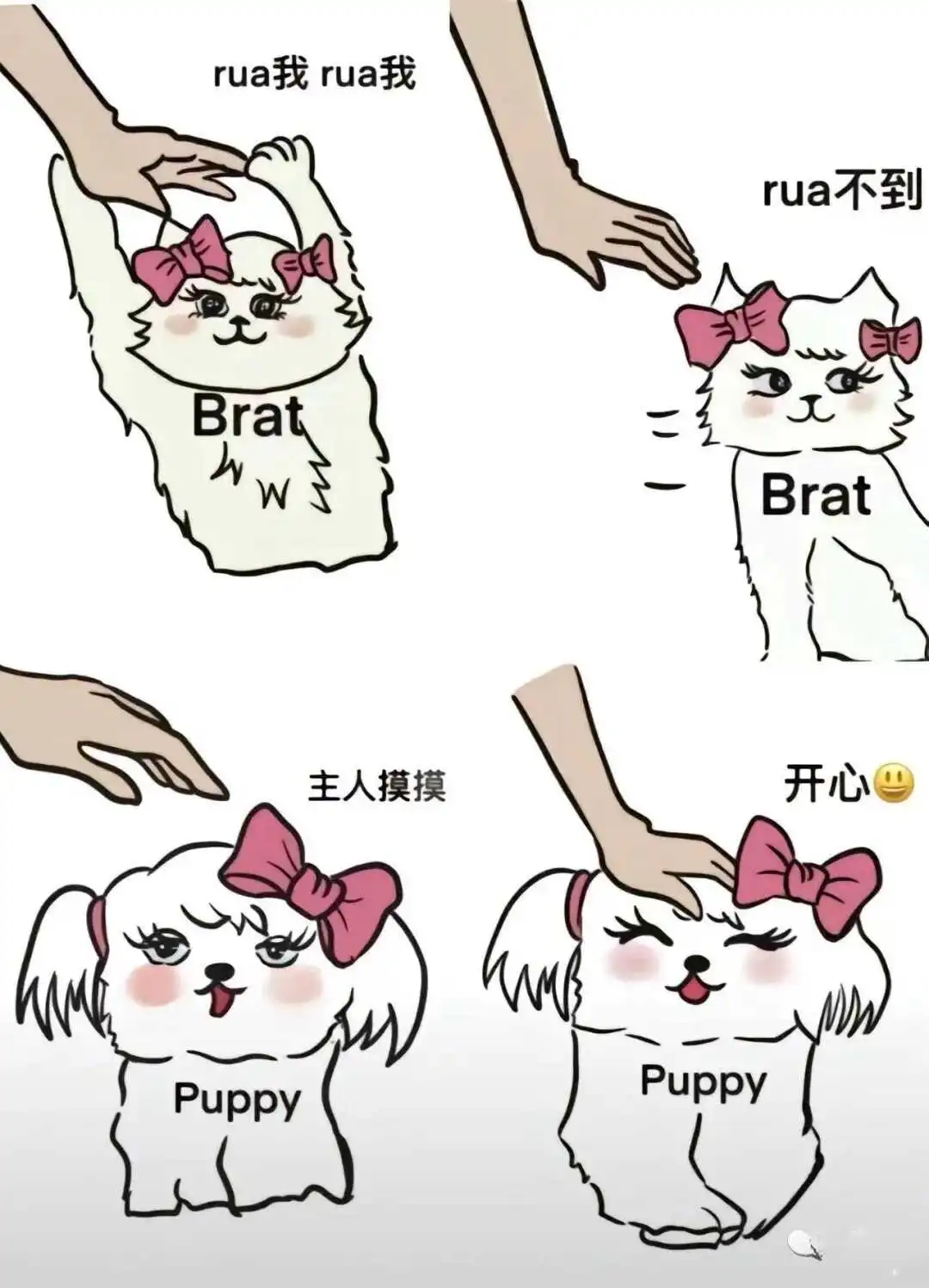西檬之家K8猫系是什么?字母圈新人入圈 一