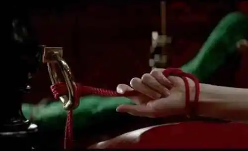 西檬之家BDSM入圈指南 一