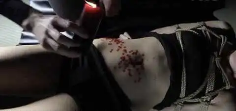 西檬之家字母圈女王是什么?新手必知 一