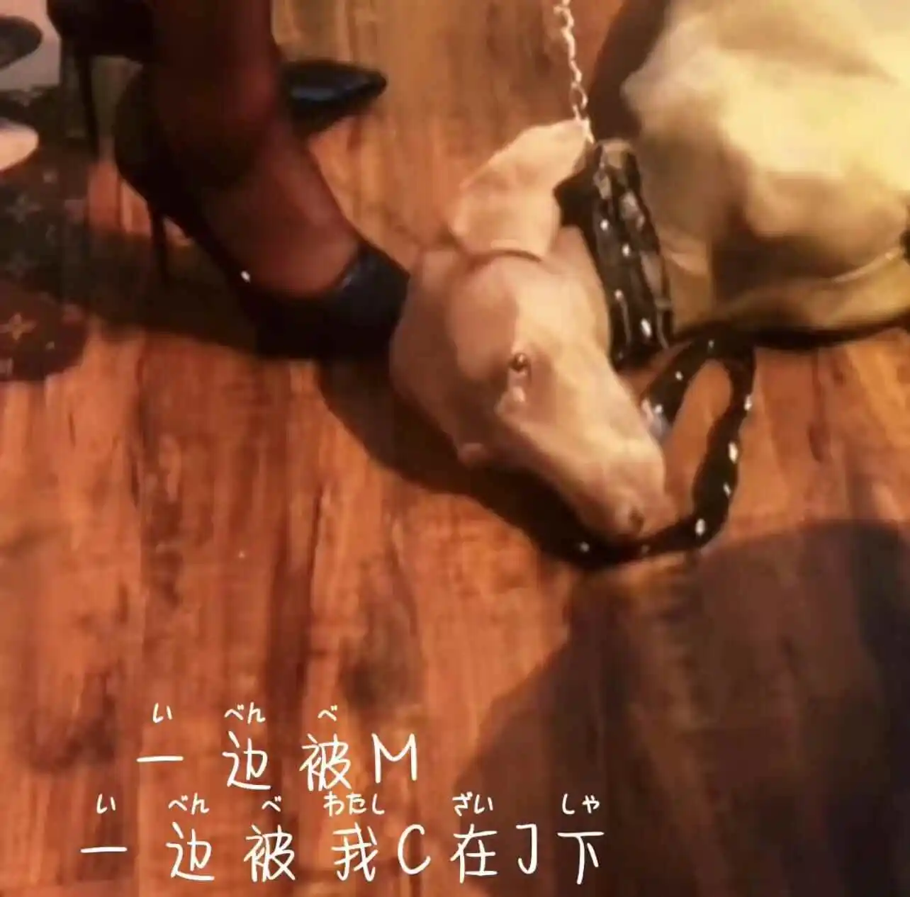 西檬之家字母圈的PE是什么意思? 一