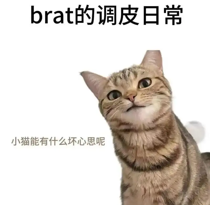 西檬之家践踏癖是什么?字母圈新人如何理解? 一