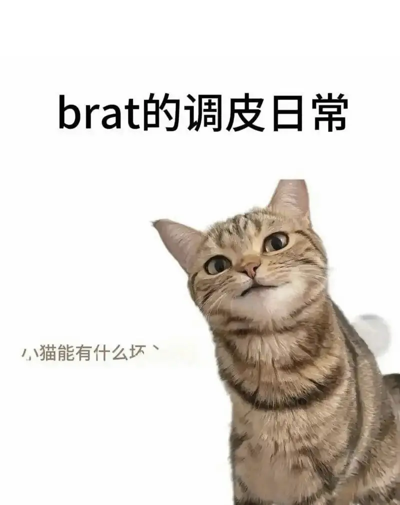 西檬之家字母圈小圈管教是什么? 一